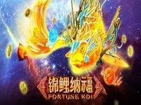 Fortune Koi