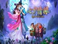 Qixi Festival