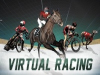 Virtual Racing
